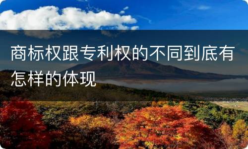 商标权跟专利权的不同到底有怎样的体现