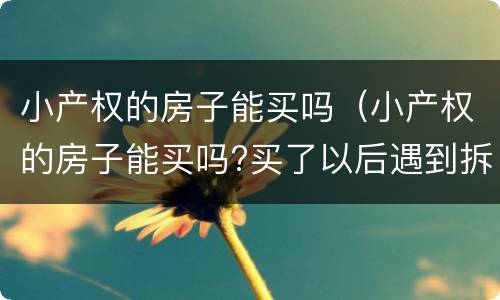 小产权的房子能买吗（小产权的房子能买吗?买了以后遇到拆迁怎么办）