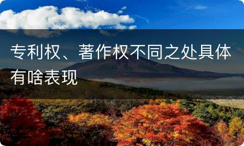专利权、著作权不同之处具体有啥表现
