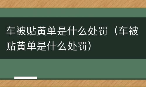 车被贴黄单是什么处罚（车被贴黄单是什么处罚）