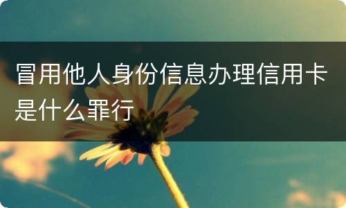 冒用他人身份信息办理信用卡是什么罪行