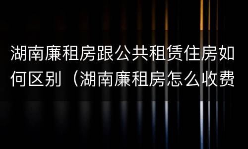 湖南廉租房跟公共租赁住房如何区别（湖南廉租房怎么收费）