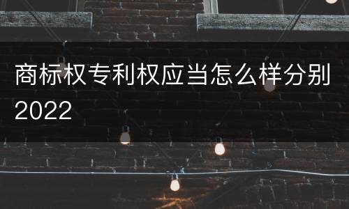 商标权专利权应当怎么样分别2022