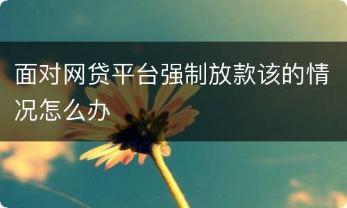 面对网贷平台强制放款该的情况怎么办