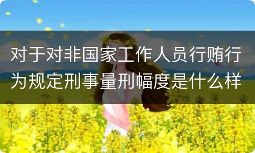 对于对非国家工作人员行贿行为规定刑事量刑幅度是什么样