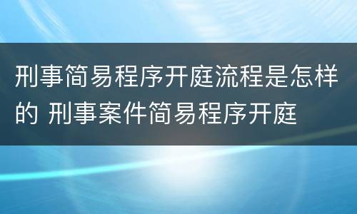 刑事简易程序开庭流程是怎样的 刑事案件简易程序开庭
