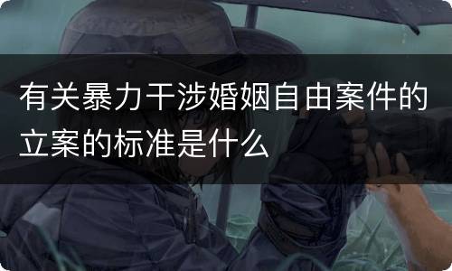 有关暴力干涉婚姻自由案件的立案的标准是什么
