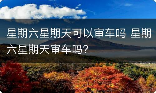 星期六星期天可以审车吗 星期六星期天审车吗?