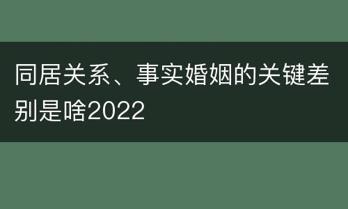 同居关系、事实婚姻的关键差别是啥2022