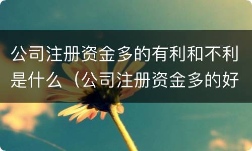 公司注册资金多的有利和不利是什么（公司注册资金多的好处）