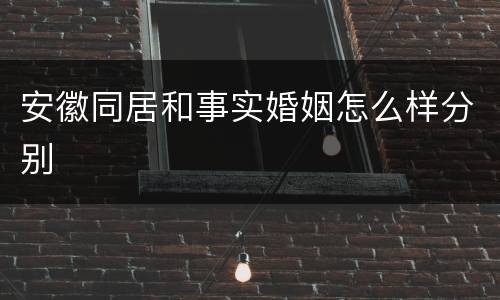 安徽同居和事实婚姻怎么样分别
