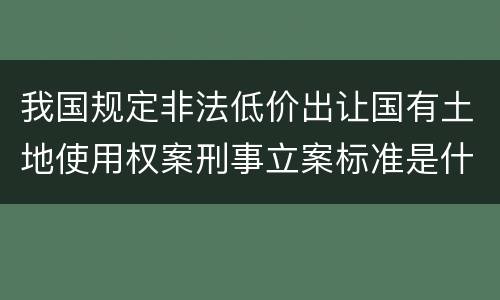 我国规定非法低价出让国有土地使用权案刑事立案标准是什么