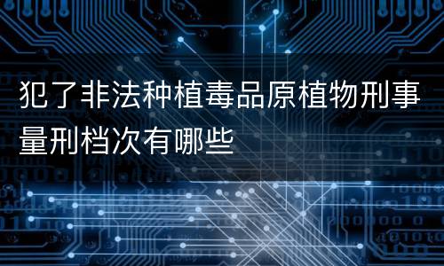 犯了非法种植毒品原植物刑事量刑档次有哪些