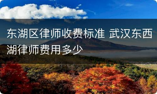 东湖区律师收费标准 武汉东西湖律师费用多少
