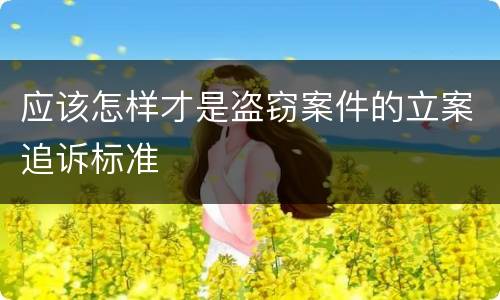应该怎样才是盗窃案件的立案追诉标准