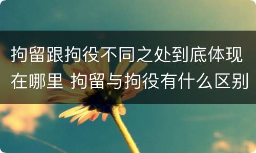 拘留跟拘役不同之处到底体现在哪里 拘留与拘役有什么区别