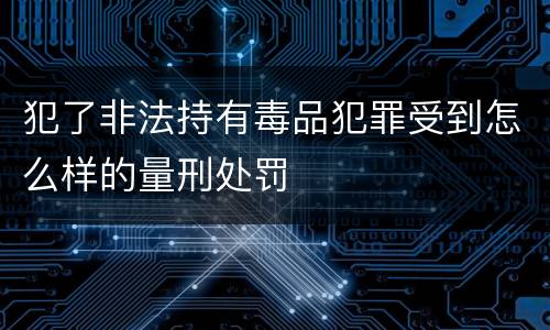 犯了非法持有毒品犯罪受到怎么样的量刑处罚