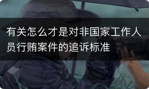 有关怎么才是对非国家工作人员行贿案件的追诉标准