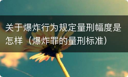 关于爆炸行为规定量刑幅度是怎样（爆炸罪的量刑标准）