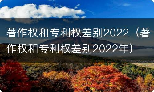 著作权和专利权差别2022（著作权和专利权差别2022年）