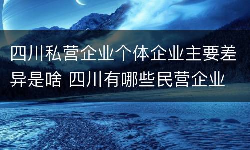 四川私营企业个体企业主要差异是啥 四川有哪些民营企业