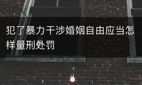 犯了暴力干涉婚姻自由应当怎样量刑处罚