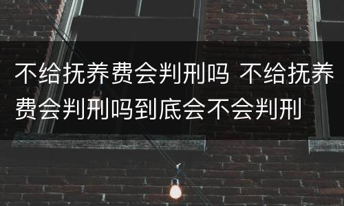 不给抚养费会判刑吗 不给抚养费会判刑吗到底会不会判刑