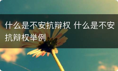 什么是不安抗辩权 什么是不安抗辩权举例