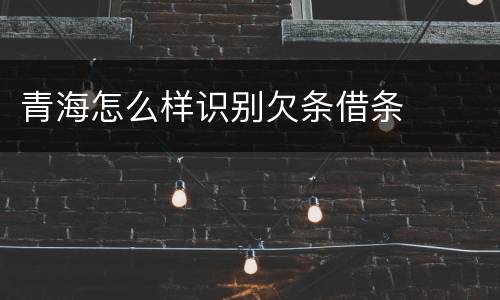 青海怎么样识别欠条借条