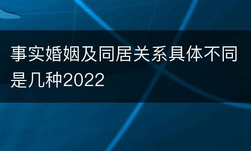 事实婚姻及同居关系具体不同是几种2022