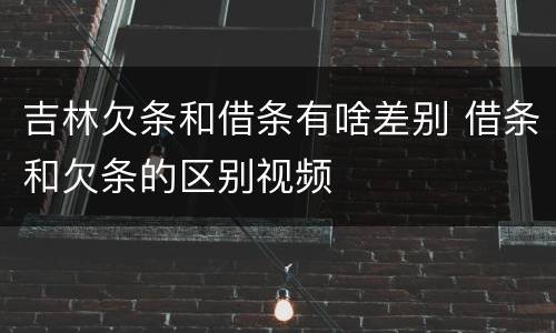 吉林欠条和借条有啥差别 借条和欠条的区别视频