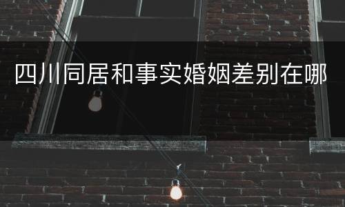 四川同居和事实婚姻差别在哪