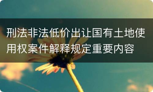 刑法非法低价出让国有土地使用权案件解释规定重要内容