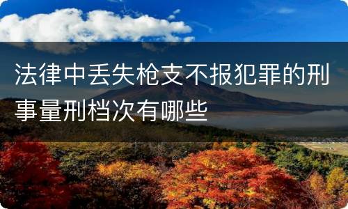 法律中丢失枪支不报犯罪的刑事量刑档次有哪些
