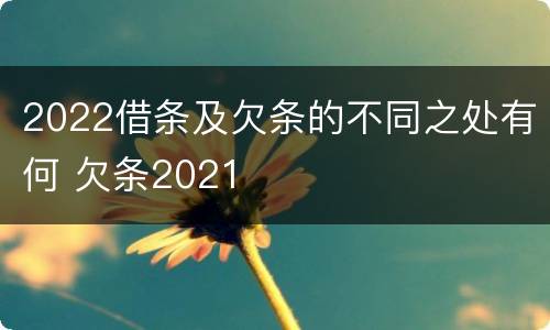 2022借条及欠条的不同之处有何 欠条2021