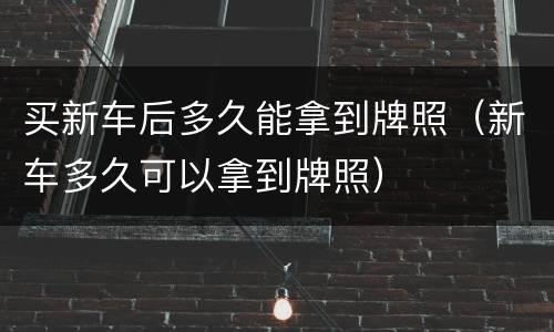 买新车后多久能拿到牌照（新车多久可以拿到牌照）