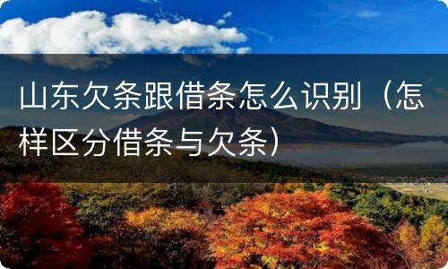 山东欠条跟借条怎么识别（怎样区分借条与欠条）