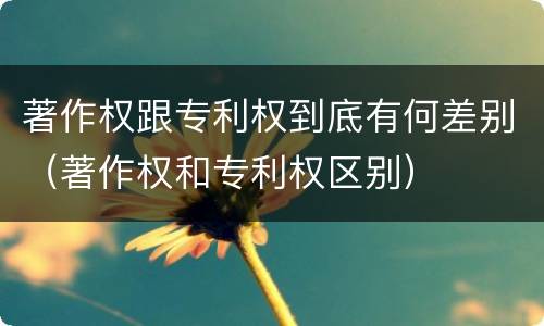 著作权跟专利权到底有何差别（著作权和专利权区别）