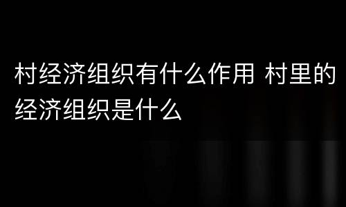 村经济组织有什么作用 村里的经济组织是什么
