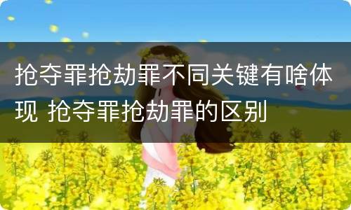 抢夺罪抢劫罪不同关键有啥体现 抢夺罪抢劫罪的区别