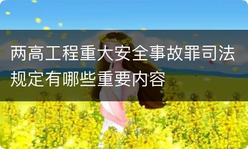 两高工程重大安全事故罪司法规定有哪些重要内容