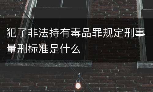 犯了非法持有毒品罪规定刑事量刑标准是什么