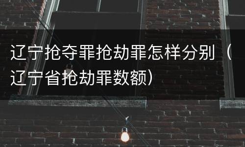 辽宁抢夺罪抢劫罪怎样分别（辽宁省抢劫罪数额）
