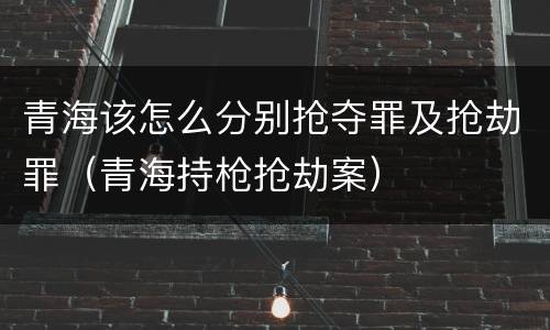 青海该怎么分别抢夺罪及抢劫罪（青海持枪抢劫案）