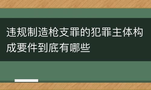 违规制造枪支罪的犯罪主体构成要件到底有哪些