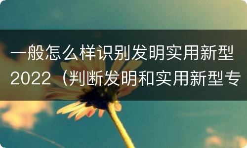 一般怎么样识别发明实用新型2022（判断发明和实用新型专利申请实用性的标准是什么）