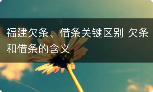 福建欠条、借条关键区别 欠条和借条的含义