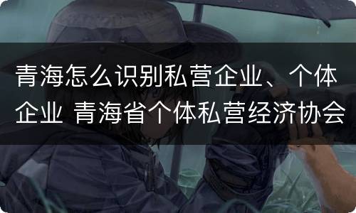 青海怎么识别私营企业、个体企业 青海省个体私营经济协会