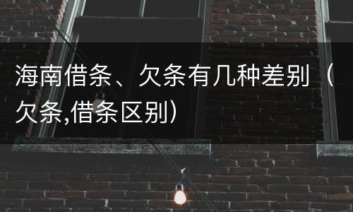 海南借条、欠条有几种差别（欠条,借条区别）