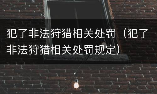 犯了非法狩猎相关处罚（犯了非法狩猎相关处罚规定）